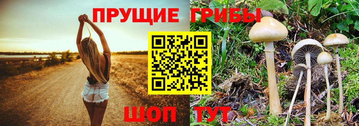 NBOMe  Бошки Шишки  Кодеин  COCAIN  Вход с VPN  APVP СОЛЬ кристаллы  Как найти наркотики?  Гашиш  Новый Уренгой  Меф МЯУ МЯУ кристаллы 
